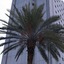 Novotel Monterrey Valle