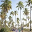 Grand Palladium Imbassai Resort & Spa All Inclusive