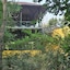 Jim's Jungle Retreat