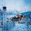 Mountains Hotel
