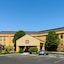 Larkspur Landing Select Carlisl
