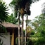 Palm Garden Resort