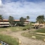 Elguea