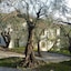 Borgo Verde-Uliveto