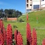 Altos Ushuaia Hotel & Resto