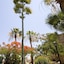 Jewels Sahara Boutique Resort