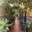 Hostal Atenas