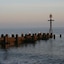 Seals Bacton