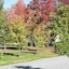 Lake Hamilton Motor Village & Caravan Park