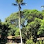 Pousada Praia Da Crena