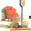 Super 8 By Wyndham Midwest City Ok