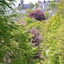 Parkhotel Waldschlösschen