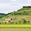 Winzerstube Ihringen