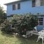 Ellen Bay Cottages
