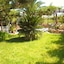Dimitra Studios