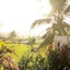 Ubud Padi Villas