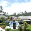 Dream Estate