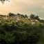 Luwak Ubud Villa