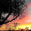 Gina Studios