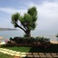 Hermes Beach Front