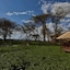Kiboko Luxury Camp