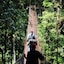 Tree Trek Boquete Adventure Park