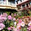 Hotel Orchid