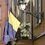 Hotel Cervetta 5