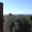 Eurialo Green Suites