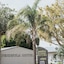 Peninsula Motel