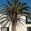 Louhallas Bed & Breakfast