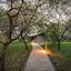 Vuyani Safari Lodge