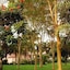 Villa Amor