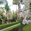 Villa Guest
