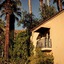 The Willows Palm Springs