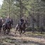 Storforsen Hotell