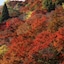 Ryokan Kato - Yoshino