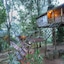 Nature Zone Jungle Resort