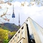N. Fourseason Seoul