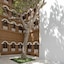 Park Hyatt Zanzibar