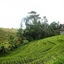Yeh Panes Bali