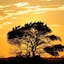 Morokolo Safari Lodge