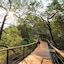 Thornybush Game Lodge
