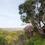 Woodbury Lodge - Amakhala Game Reserve