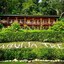 Tabulia Tree Hotel and Villas