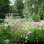 Burleys Gardens And Suite