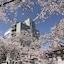 Smile Hotel Mito