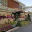 Delio Boutique Hotel