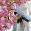 Bridal Tea House Hotel Yantai Laishan