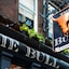 The Bull And The Hide